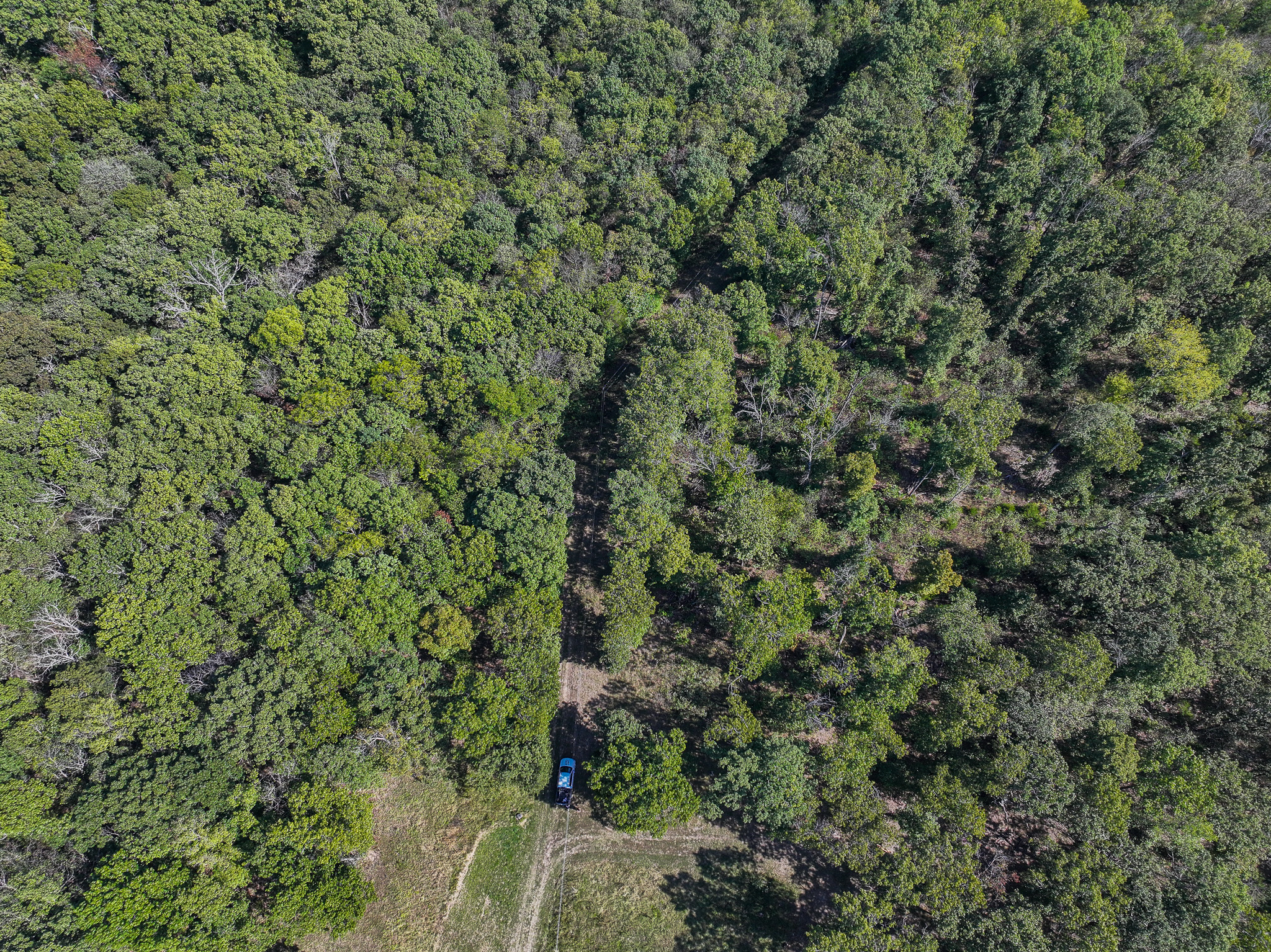 Home on 109+\- acres in Collins MO