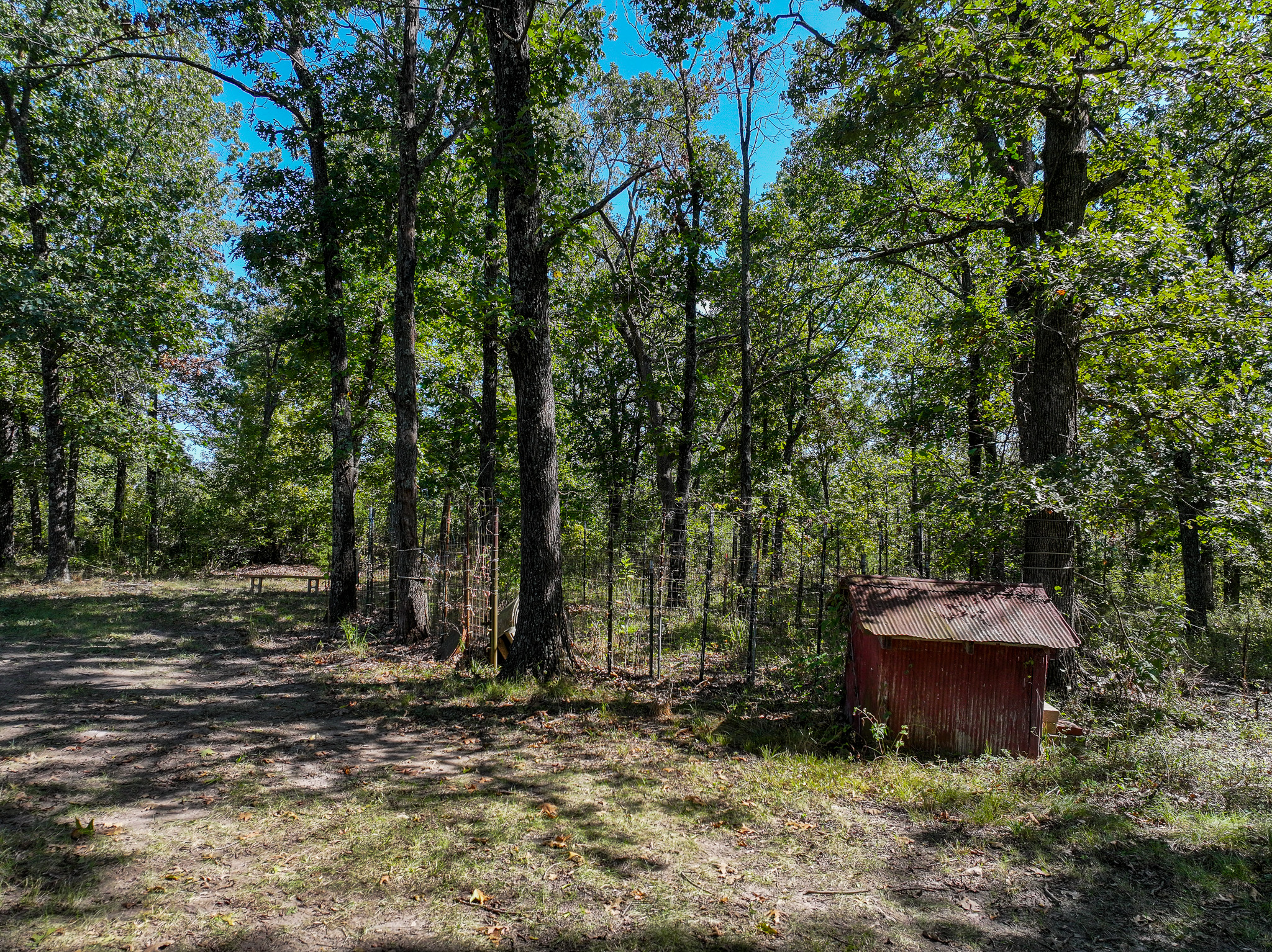 Home on 109+\- acres in Collins MO