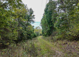 Home on 109+\- acres in Collins MO