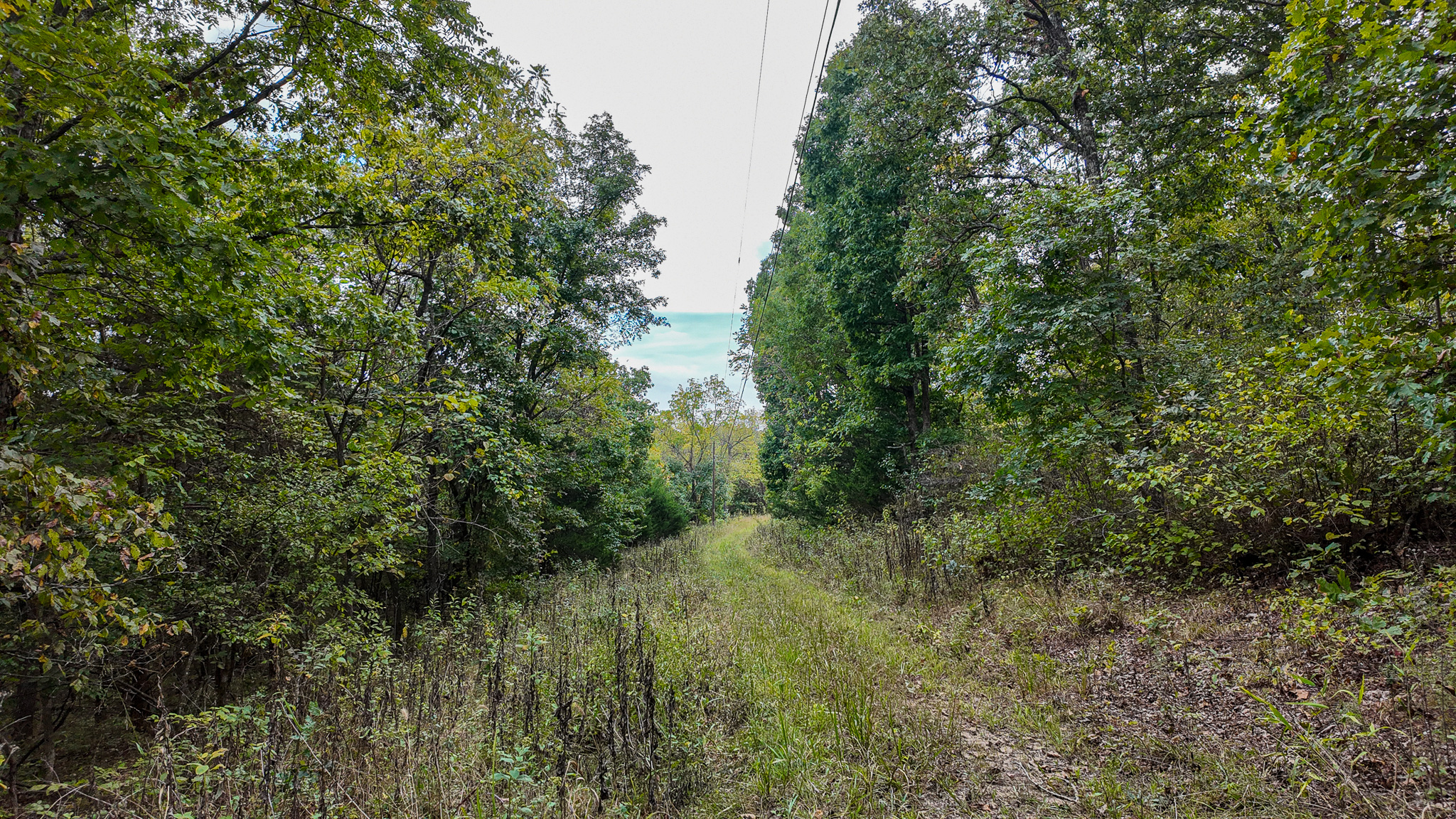 Home on 109+\- acres in Collins MO