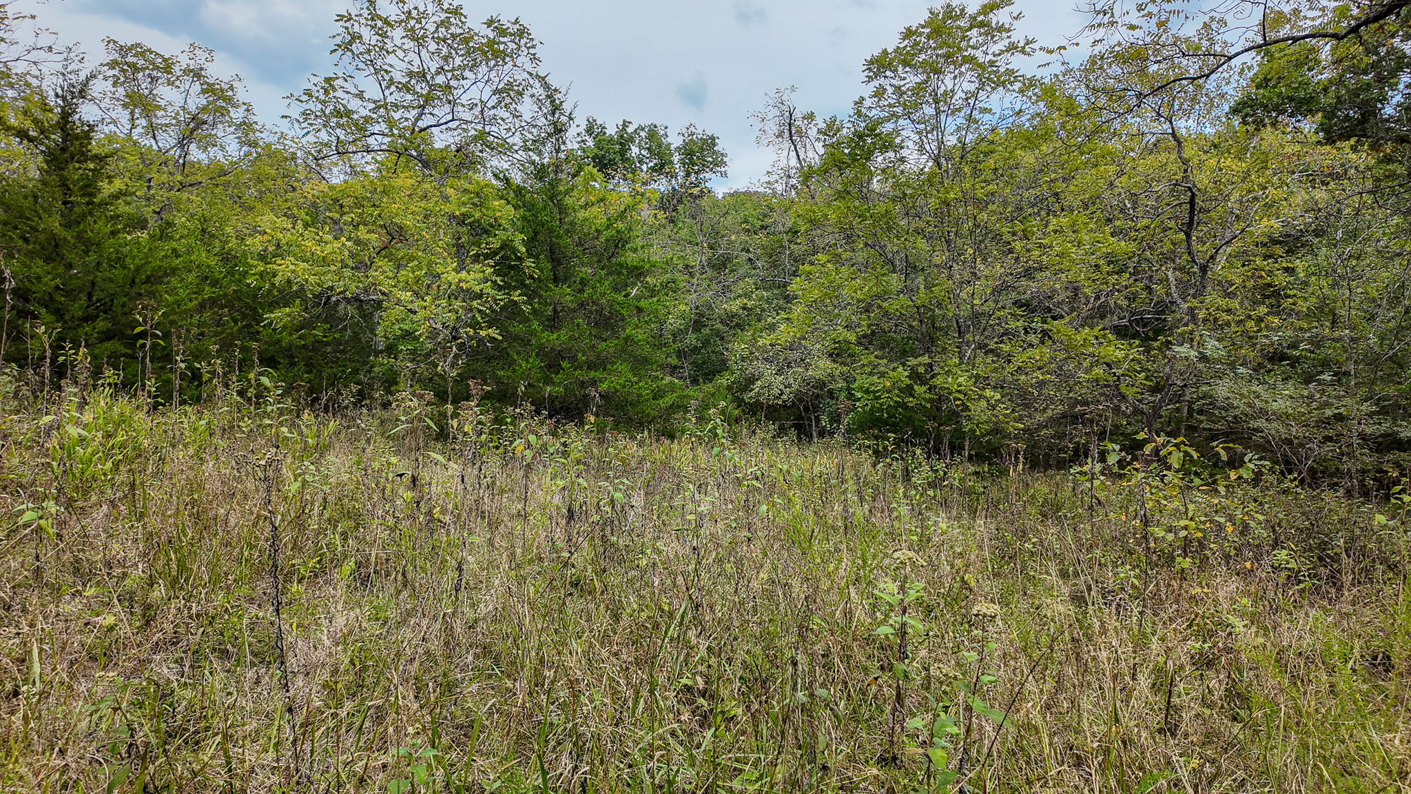 Home on 109+\- acres in Collins MO