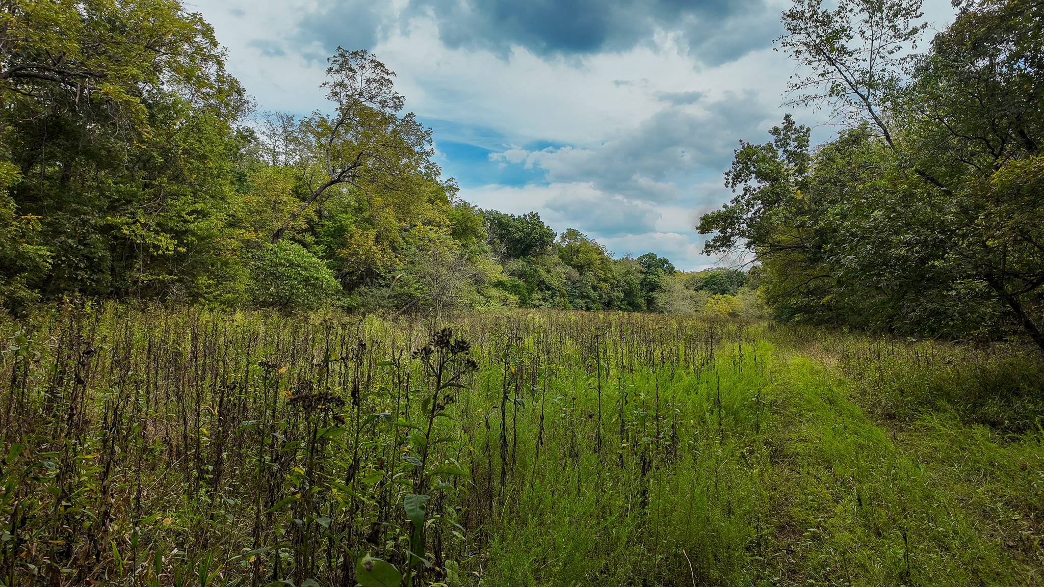 Home on 109+\- acres in Collins MO