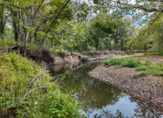 Home on 109+\- acres in Collins MO