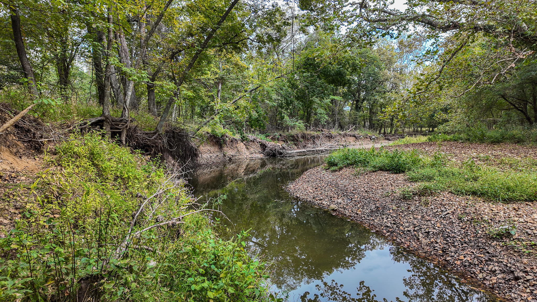 Home on 109+\- acres in Collins MO