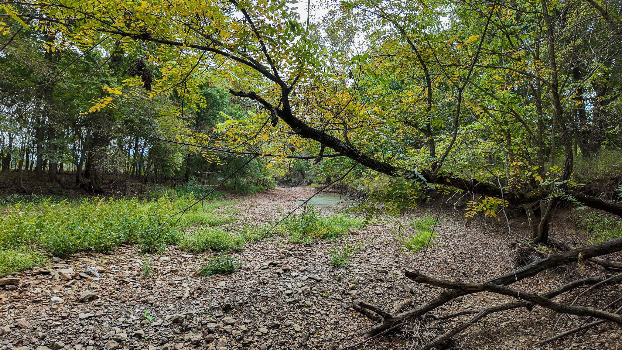 Home on 109+\- acres in Collins MO