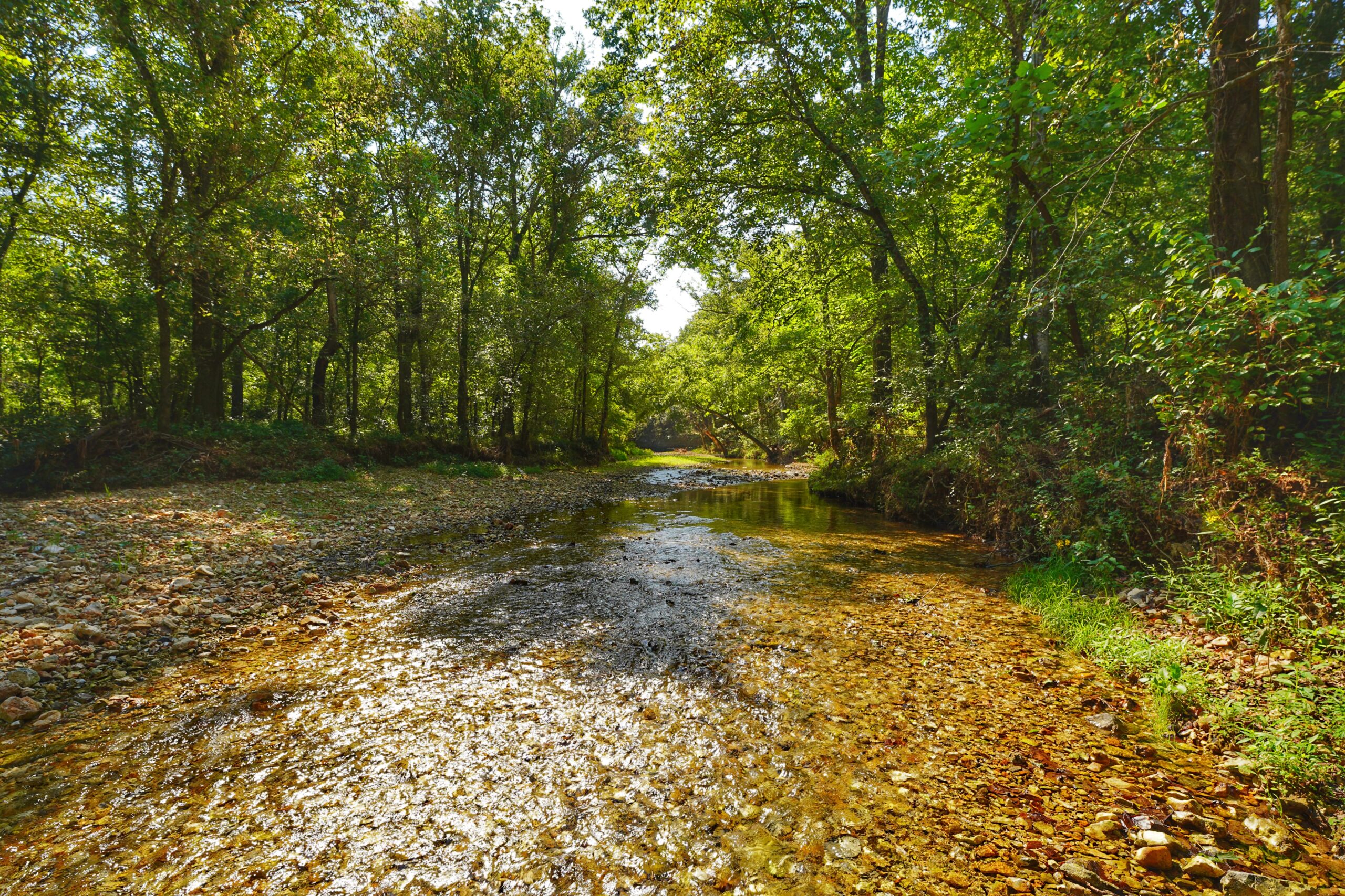 Legacy Northwest Arkansas Acreage For Sale
