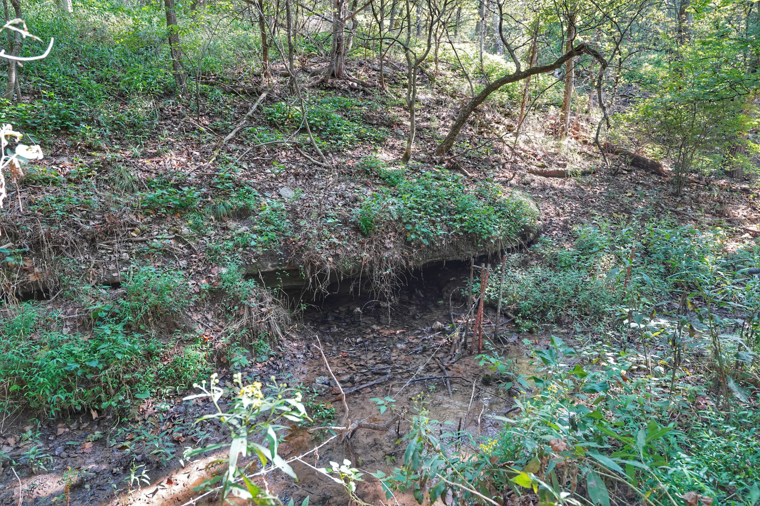 Legacy Northwest Arkansas Acreage For Sale