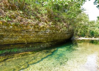 Legacy Northwest Arkansas Acreage For Sale