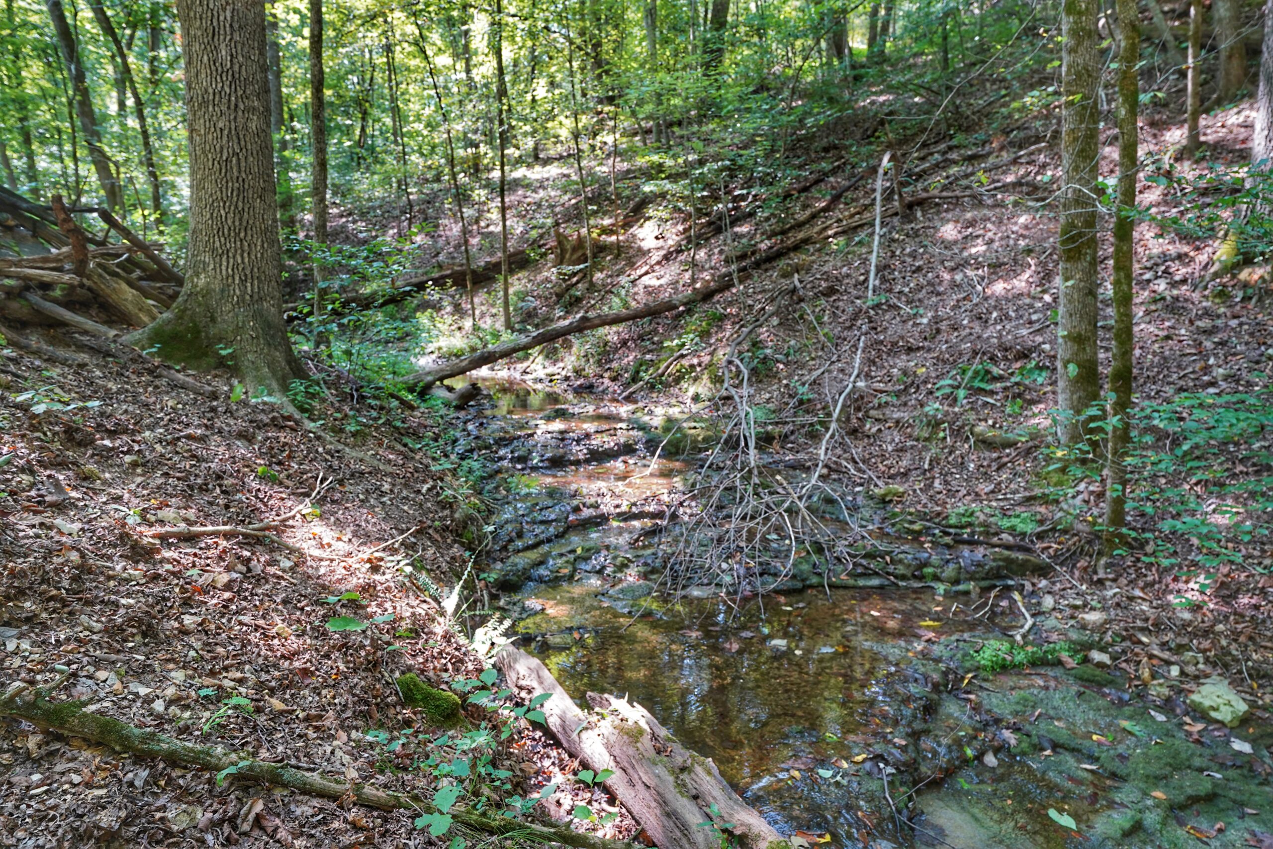 Legacy Northwest Arkansas Acreage For Sale
