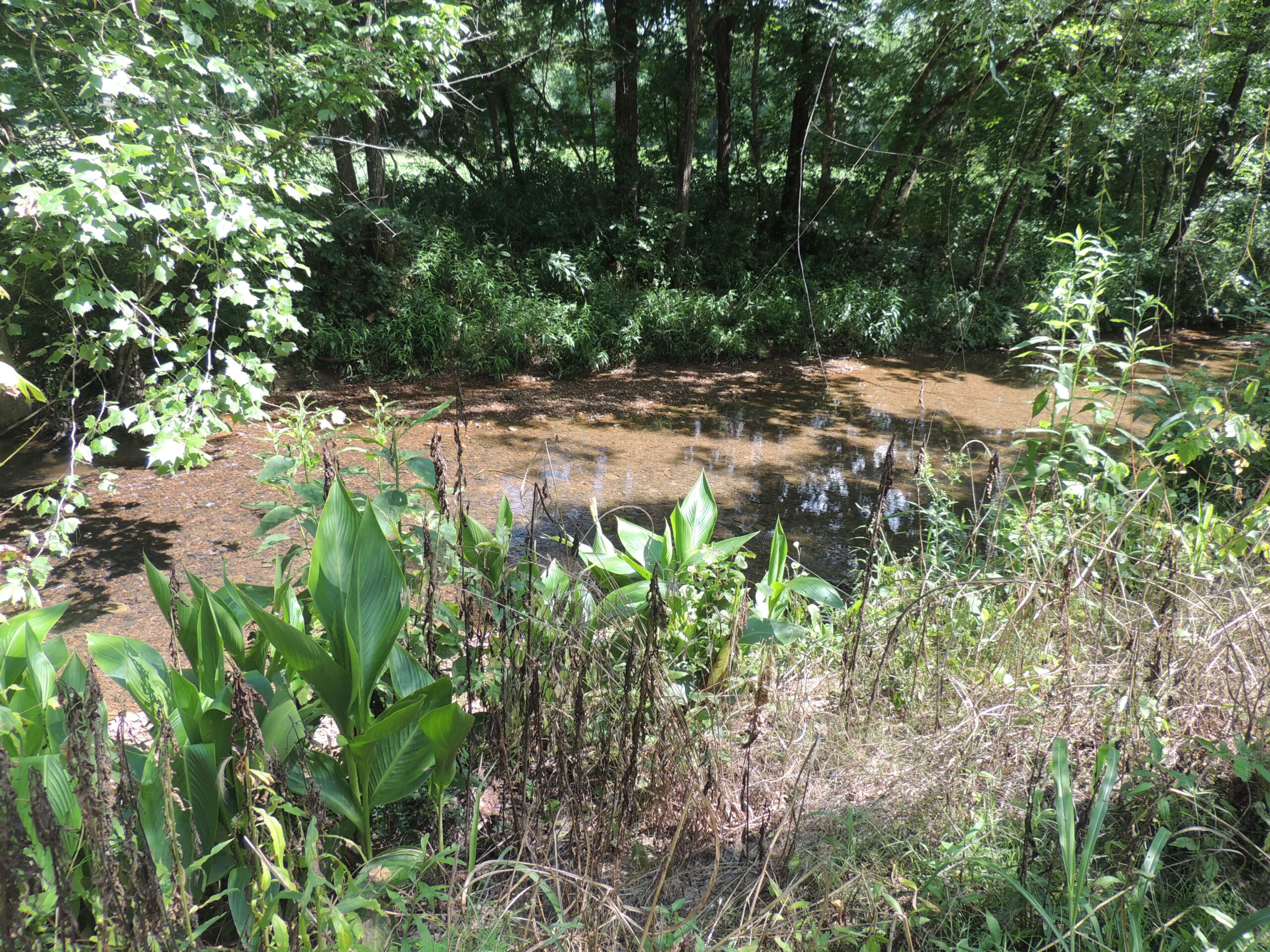 DEER HUNTING PROPERTY FOR SALE IN TN