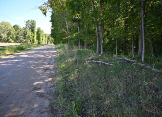 26.6 Acres on a Paved Road in Isabella County MI