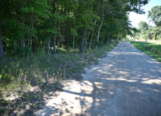 26.6 Acres on a Paved Road in Isabella County MI