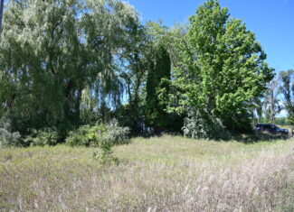 26.6 Acres on a Paved Road in Isabella County MI