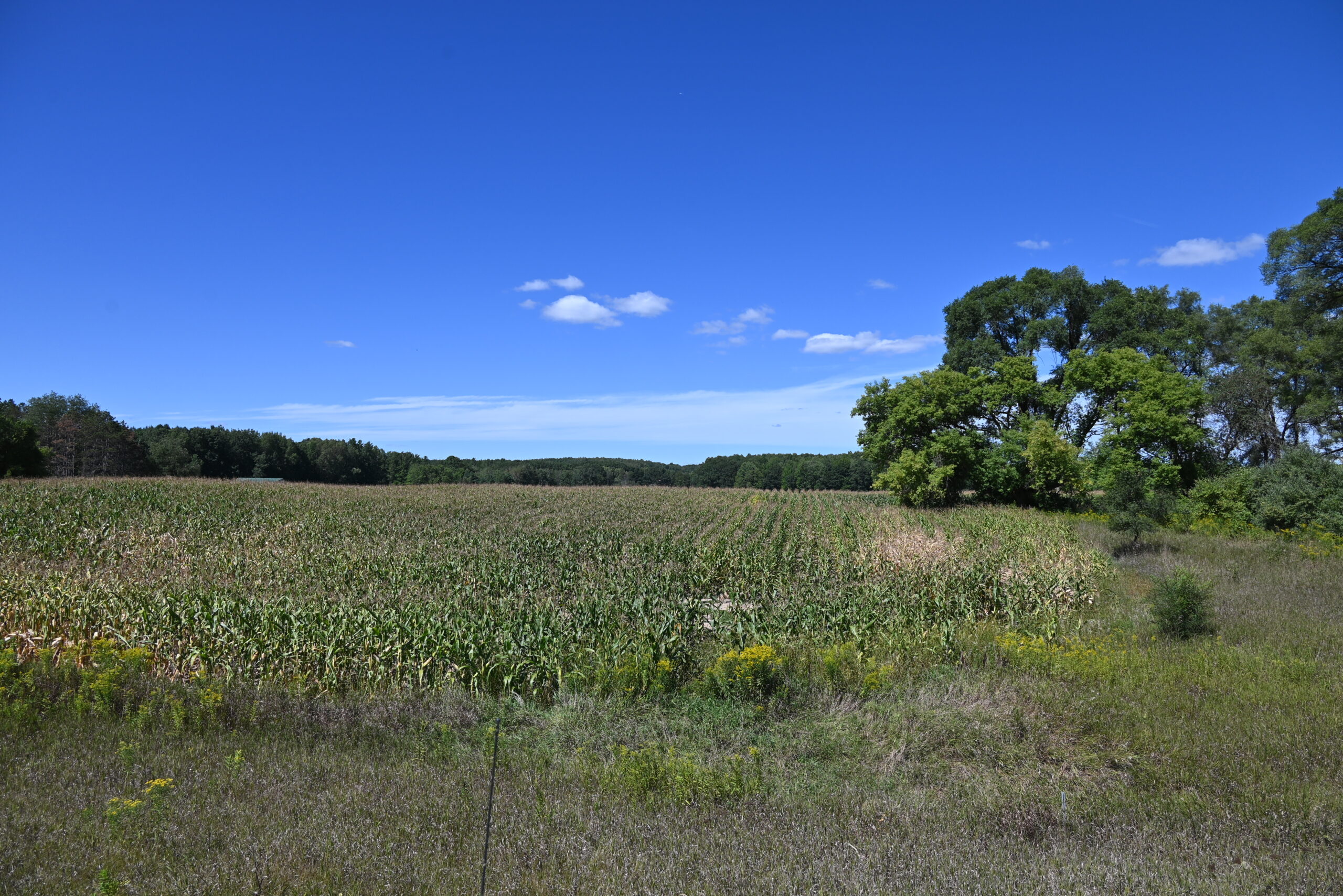 26.6 Acres on a Paved Road in Isabella County MI