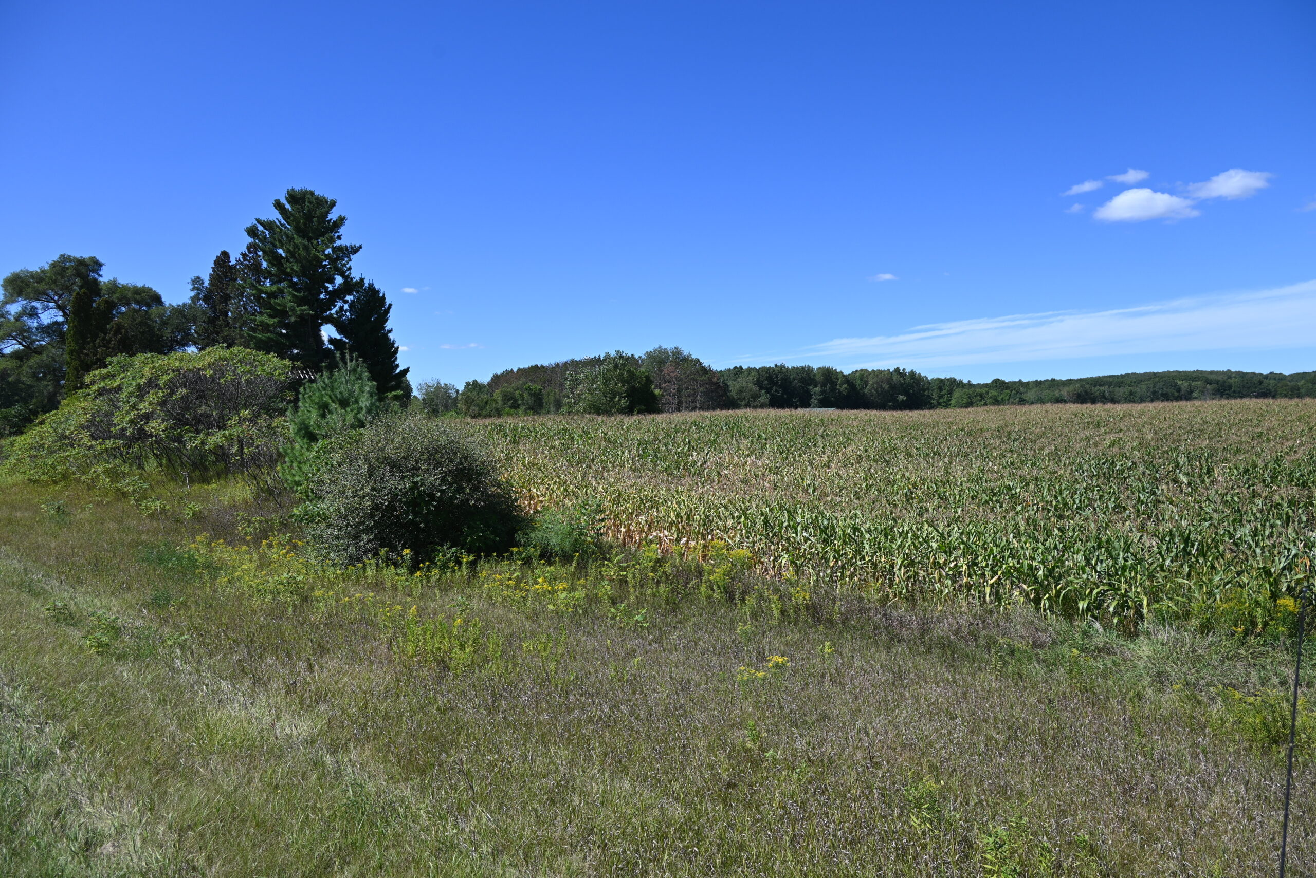 26.6 Acres on a Paved Road in Isabella County MI