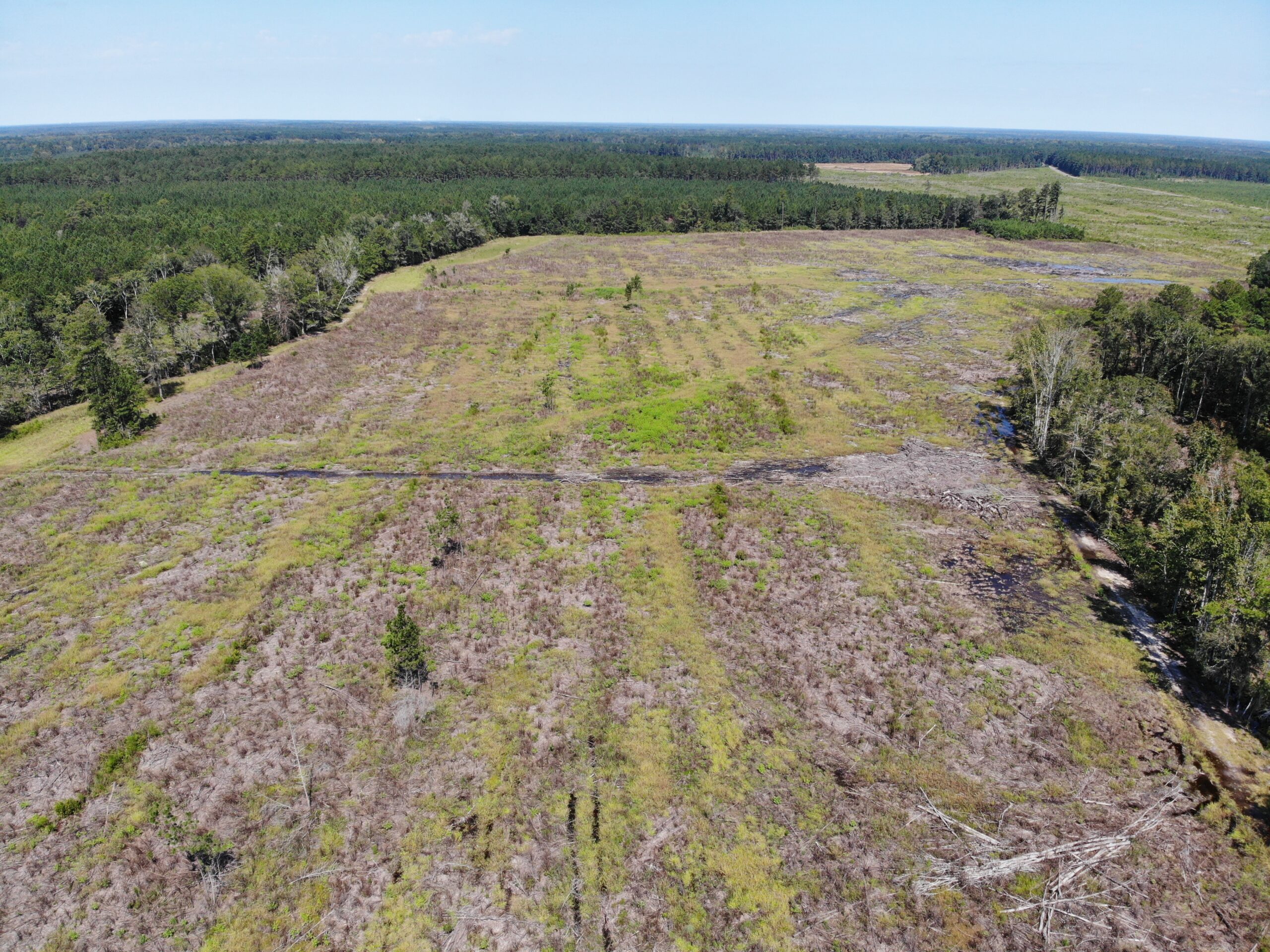 106+ acres of land for recreation, timber, and habitat management in Bamberg, SC!