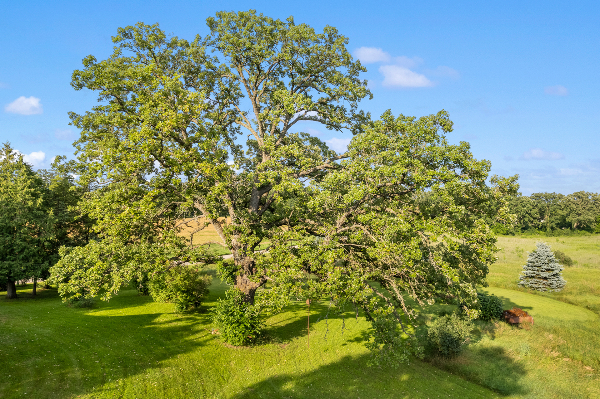 Marquette County Farm and 10+/- Acres Live & Online Auction