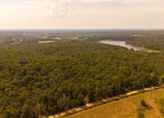 Mountain Ozarks Hunting Land