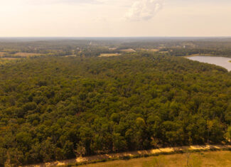 Mountain Ozarks Hunting Land
