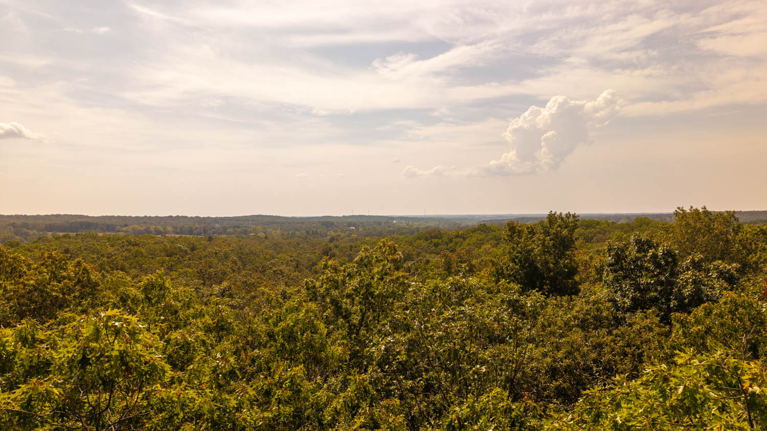 Mountain Ozarks Hunting Land
