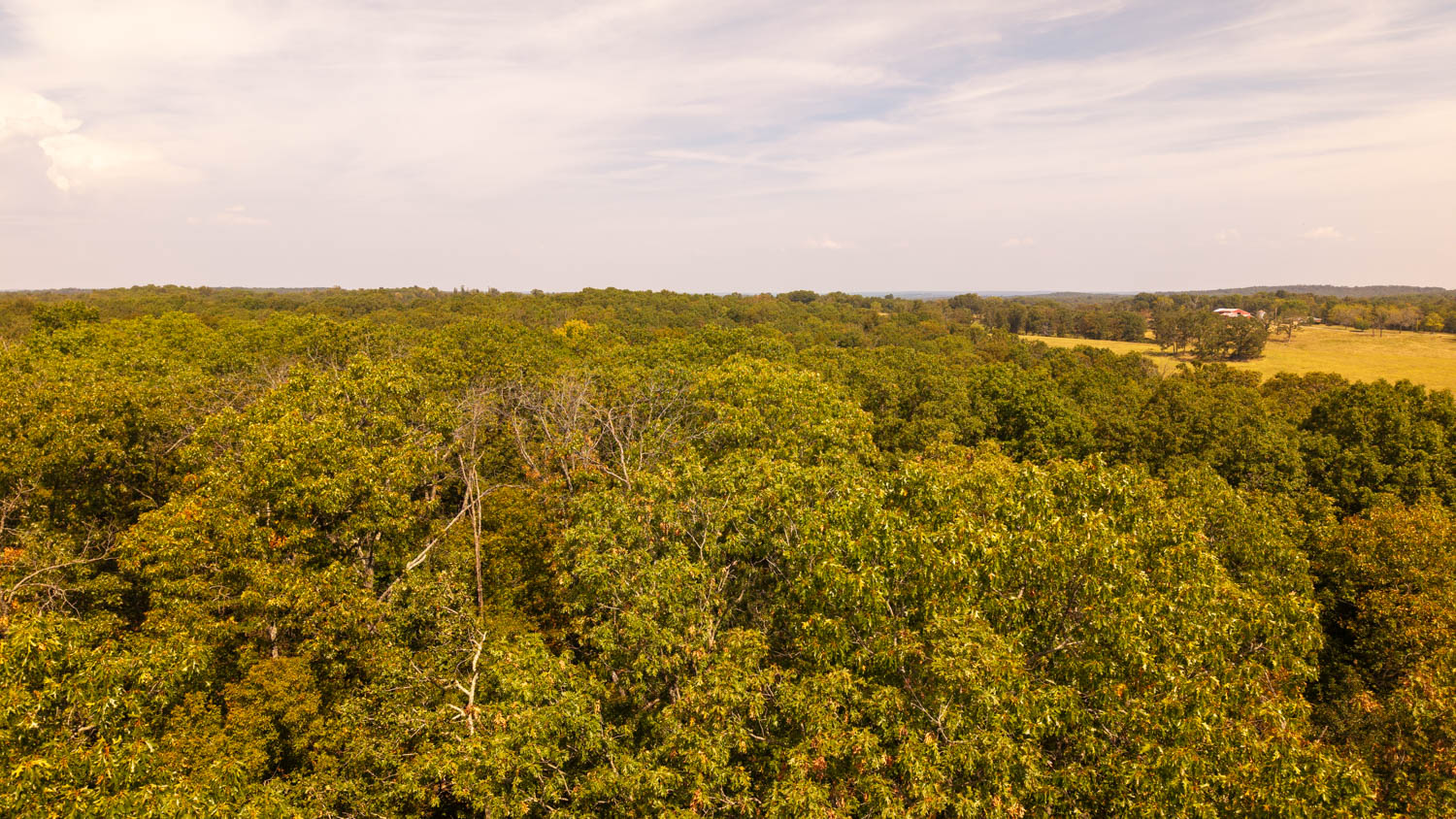 Mountain Ozarks Hunting Land