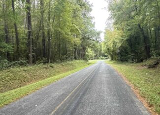 15 Acres Timber & Hunting Land in Aurora, NC