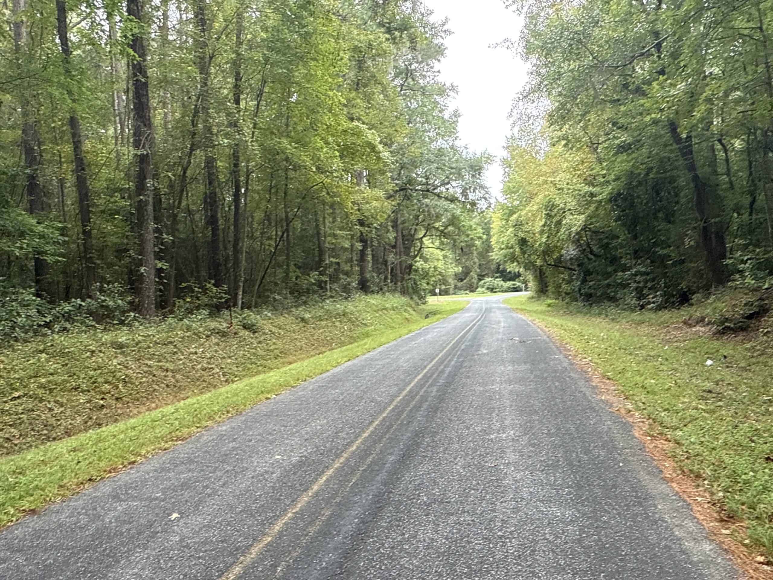 15 Acres Timber & Hunting Land in Aurora, NC