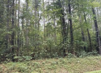 15 Acres Timber & Hunting Land in Aurora, NC