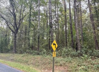 15 Acres Timber & Hunting Land in Aurora, NC