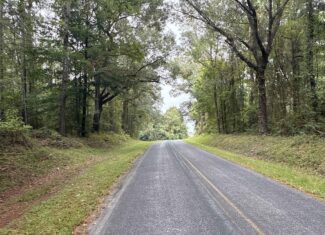 15 Acres Timber & Hunting Land in Aurora, NC