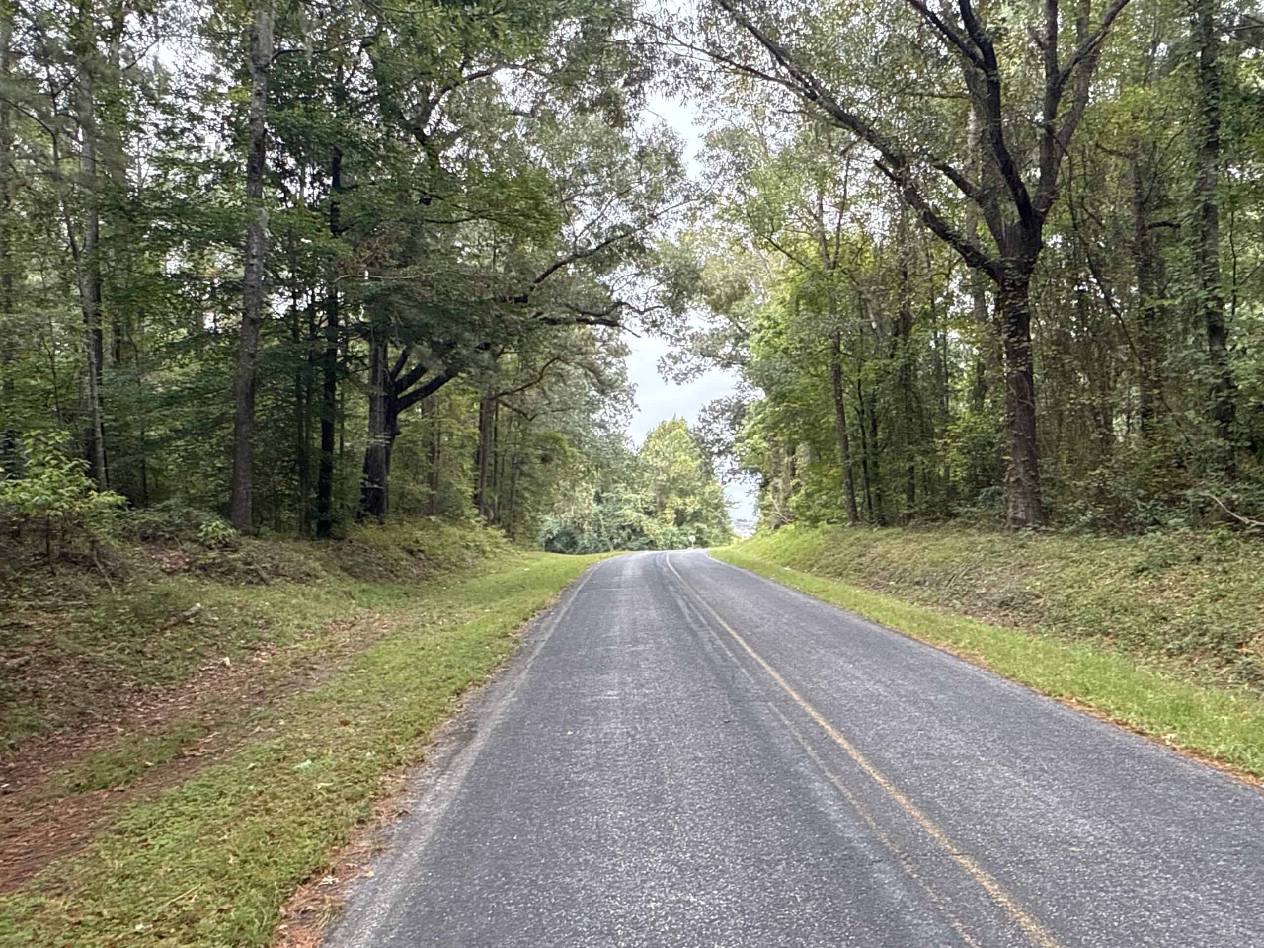 15 Acres Timber & Hunting Land in Aurora, NC