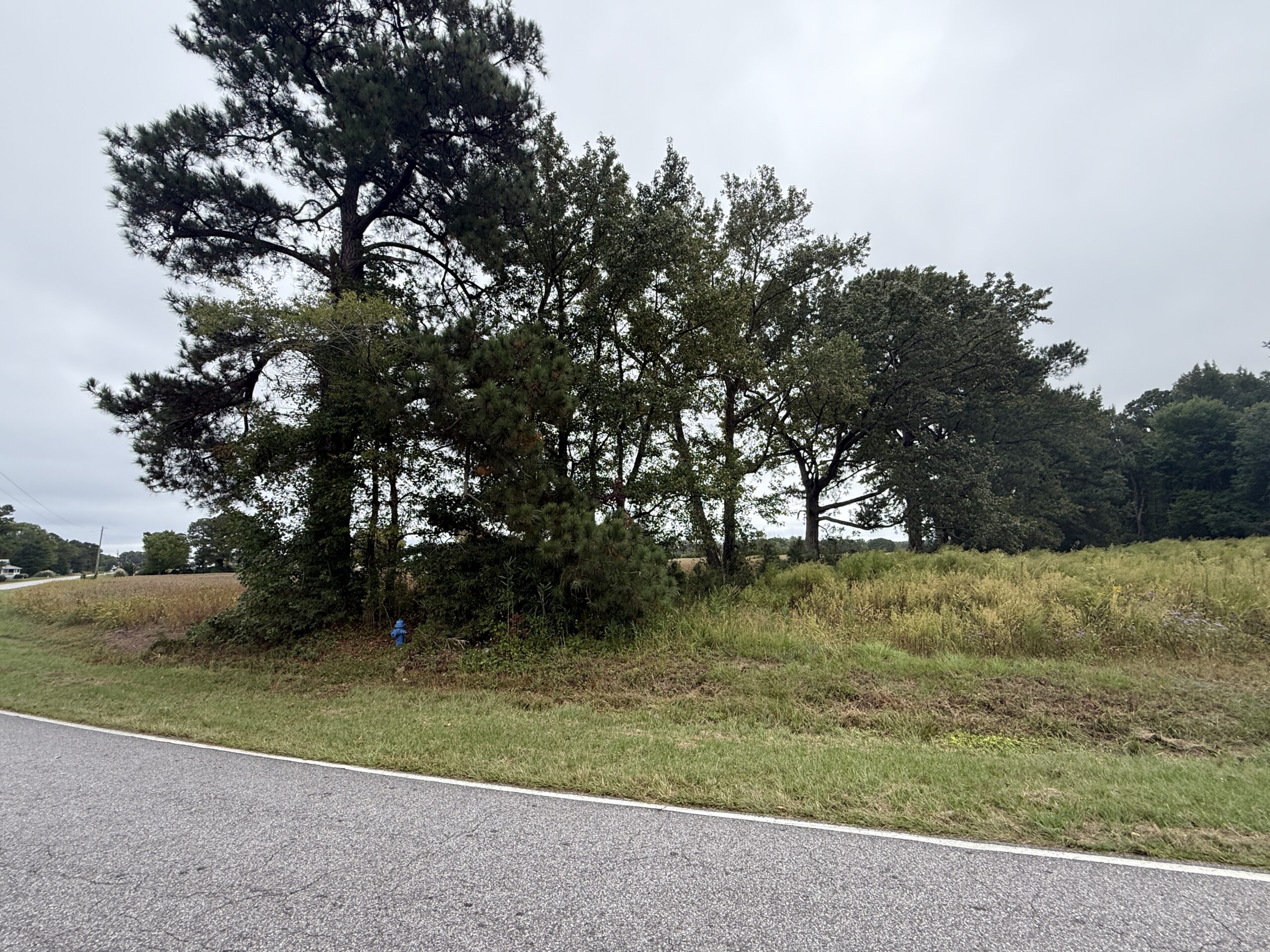 25 Acres Timber & Hunting Land for Sale in NC