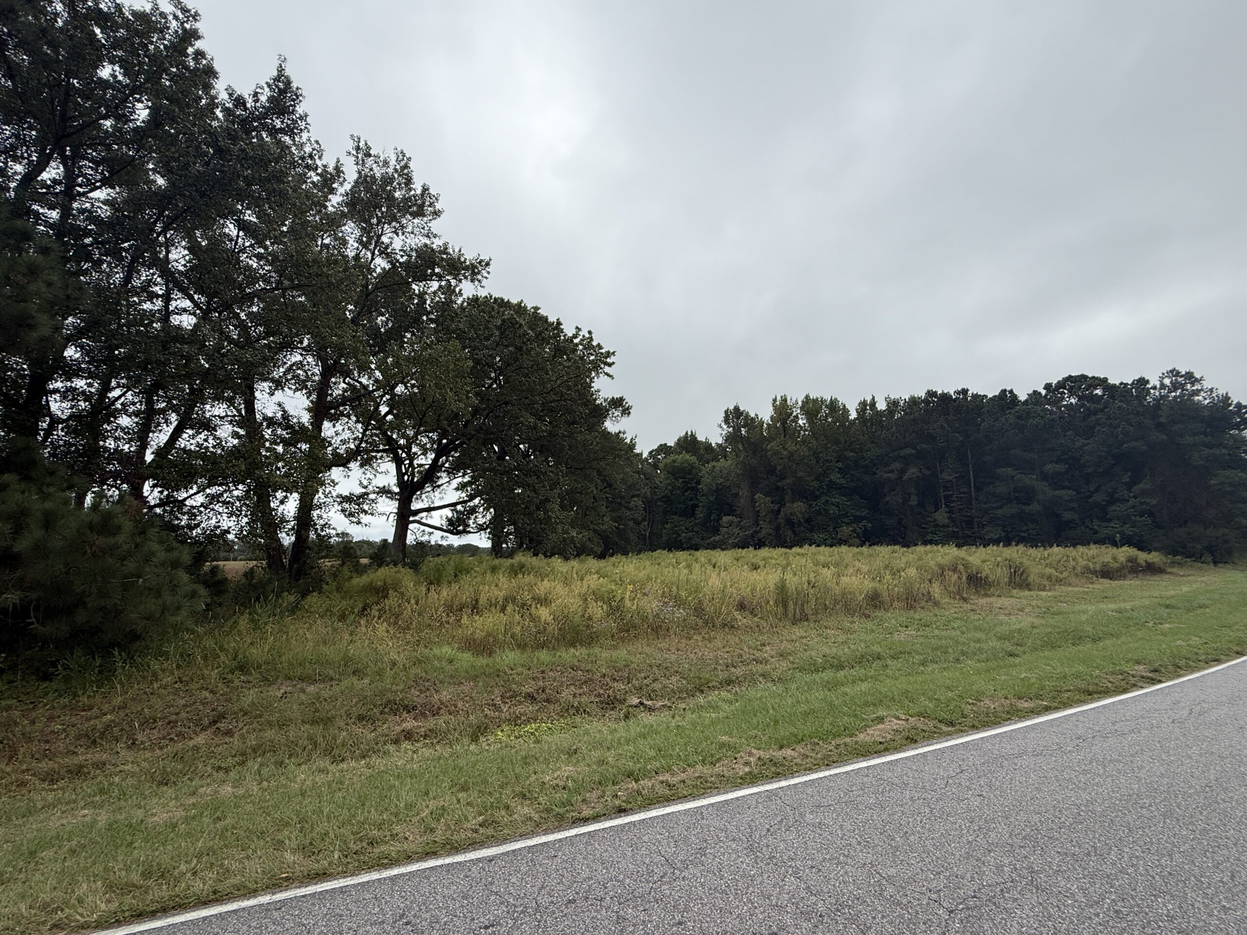 25 Acres Timber & Hunting Land for Sale in NC