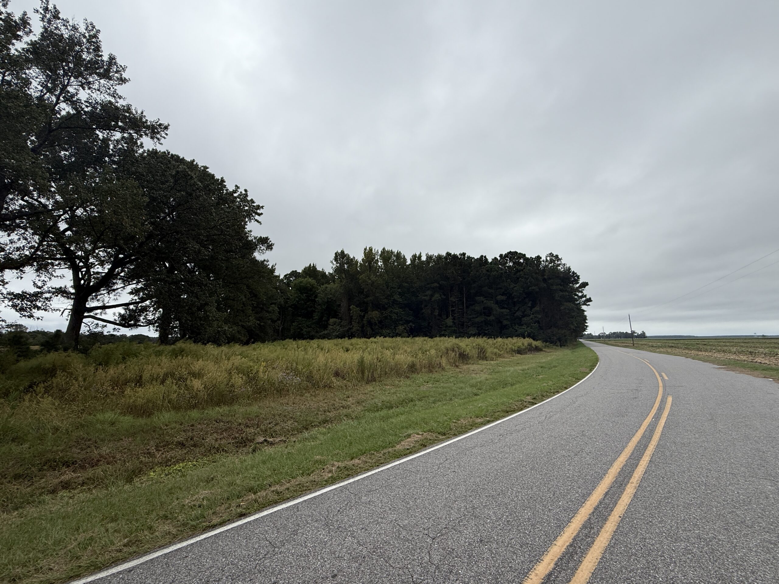25 Acres Timber & Hunting Land for Sale in NC