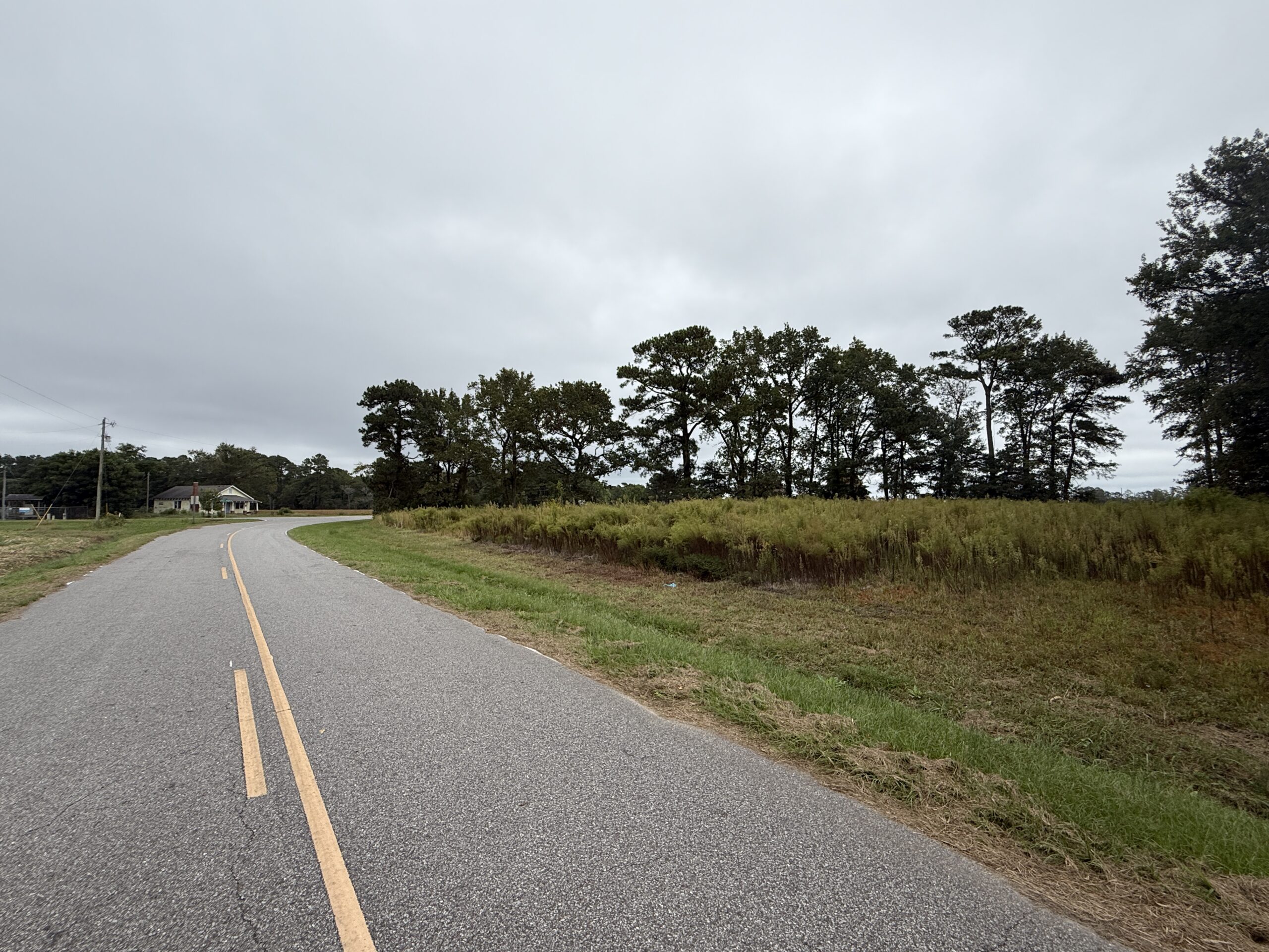25 Acres Timber & Hunting Land for Sale in NC