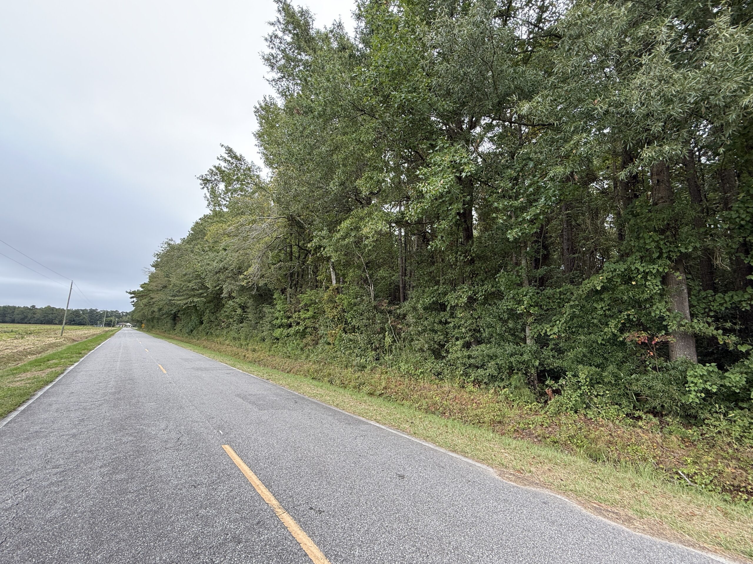25 Acres Timber & Hunting Land for Sale in NC