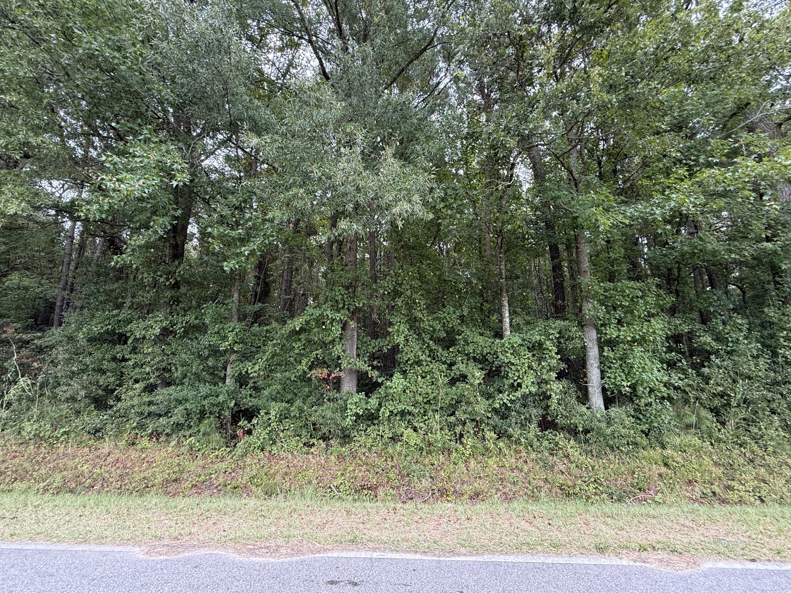 25 Acres Timber & Hunting Land for Sale in NC