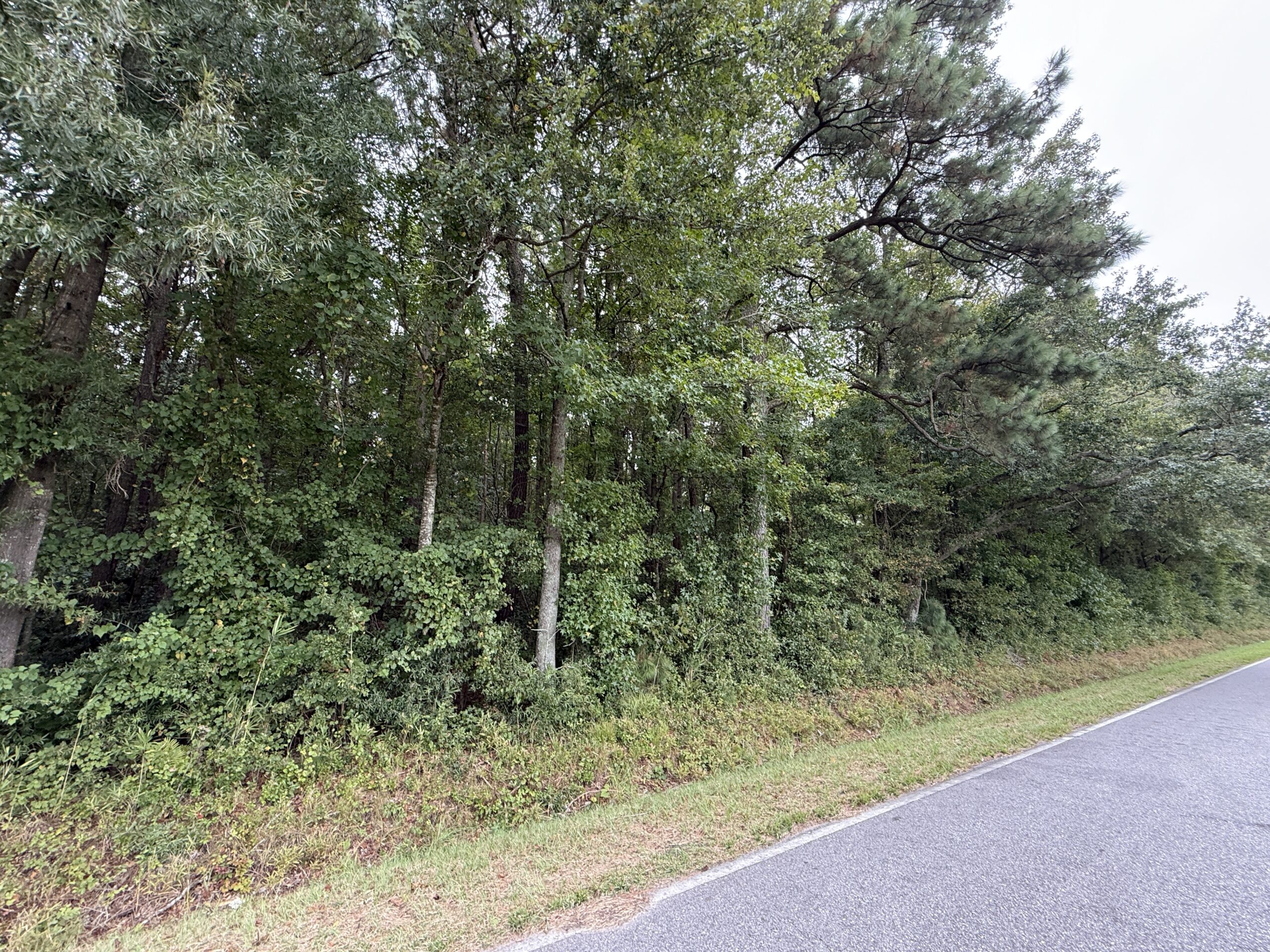 25 Acres Timber & Hunting Land for Sale in NC