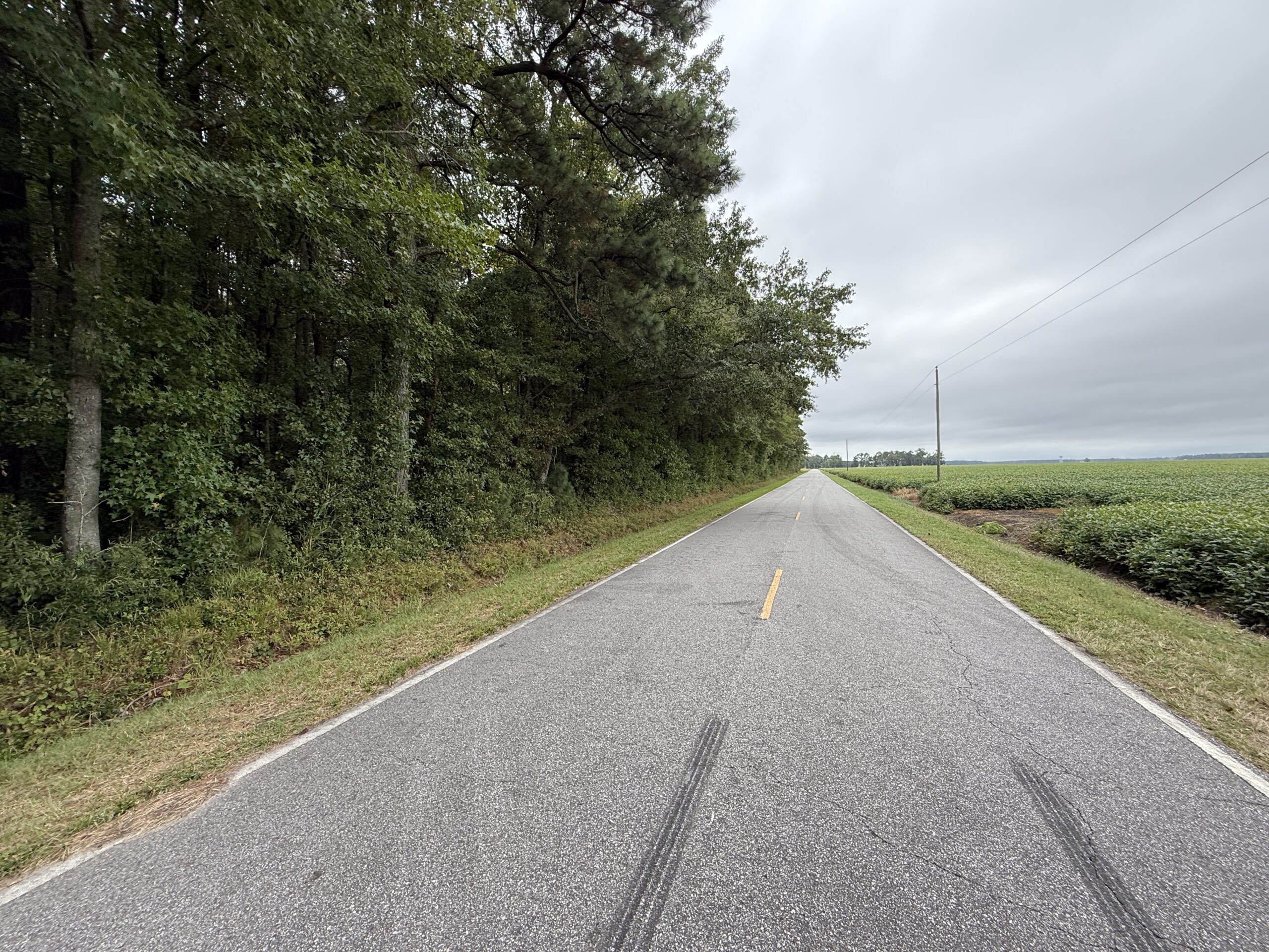 25 Acres Timber & Hunting Land for Sale in NC