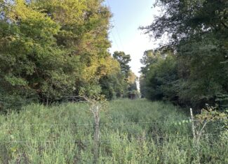 East Texas Hunting/Recreational/Timber Tract For Sale