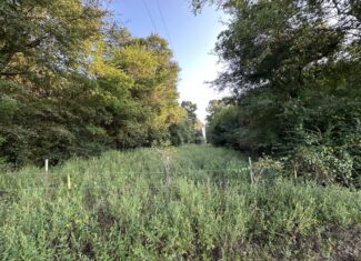 East Texas Hunting/Recreational/Timber Tract For Sale