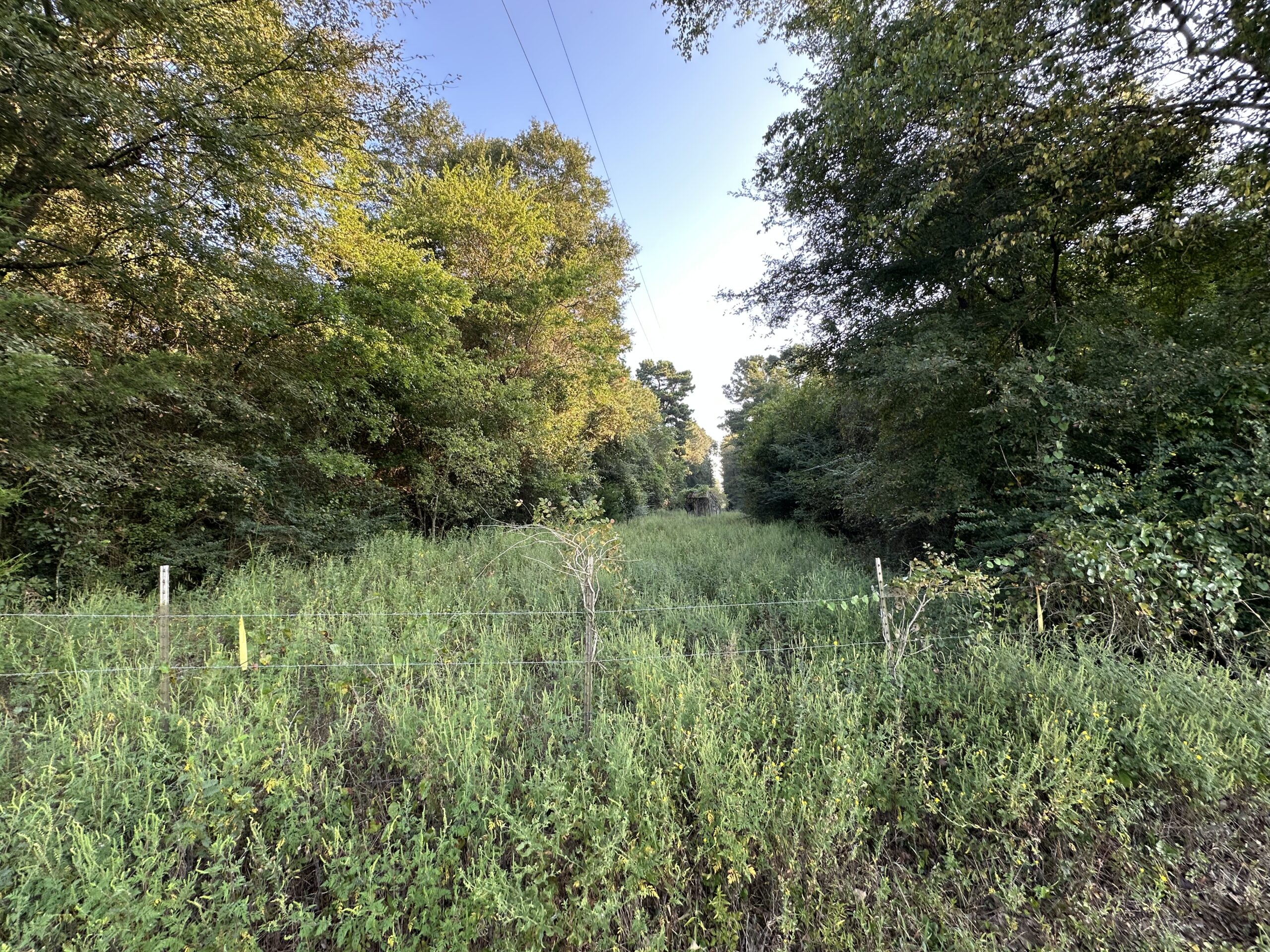 East Texas Hunting/Recreational/Timber Tract For Sale