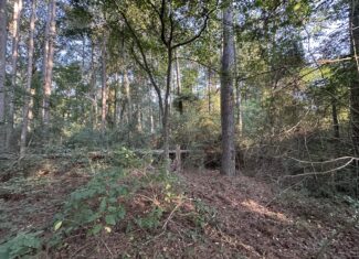 East Texas Hunting/Recreational/Timber Tract For Sale