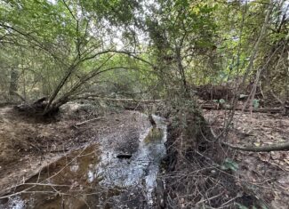 East Texas Hunting/Recreational/Timber Tract For Sale