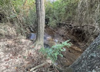East Texas Hunting/Recreational/Timber Tract For Sale