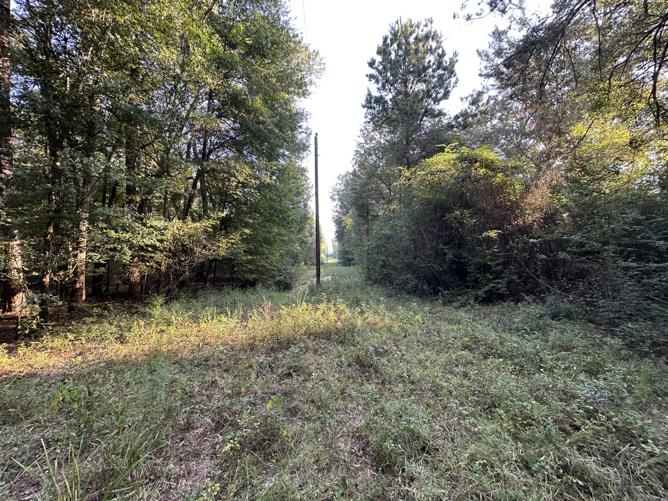 East Texas Hunting/Recreational/Timber Tract For Sale