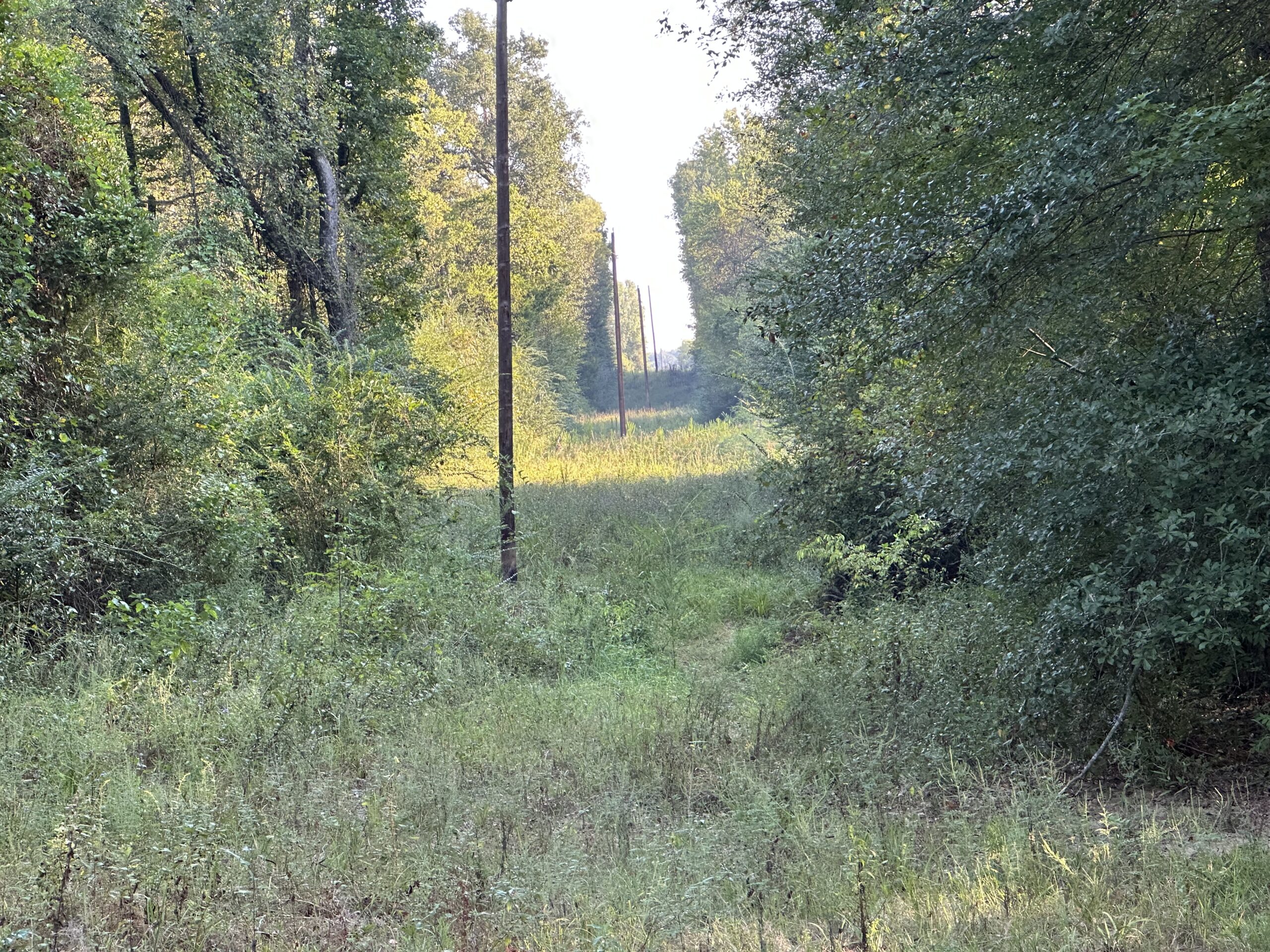 East Texas Hunting/Recreational/Timber Tract For Sale