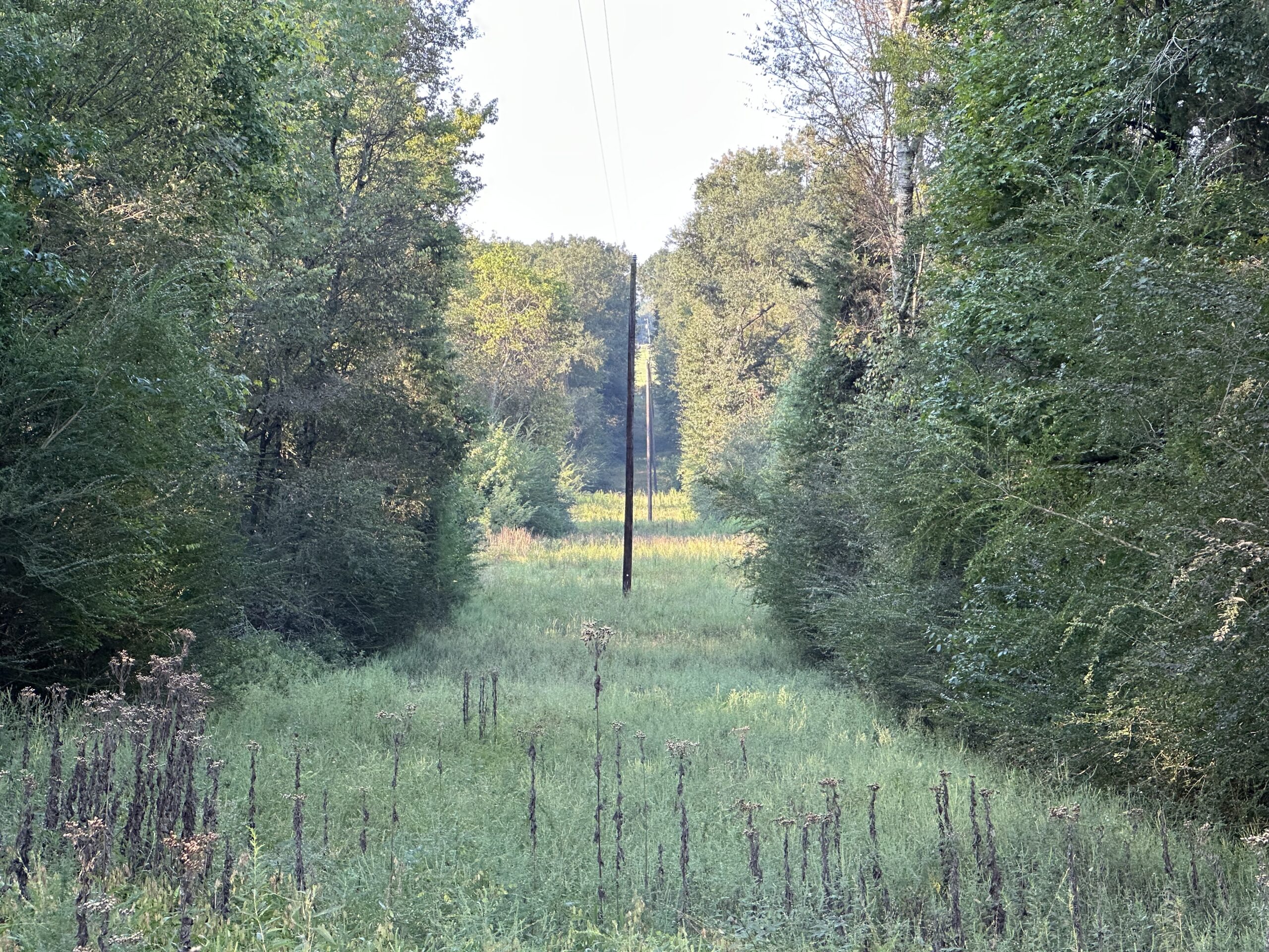 East Texas Hunting/Recreational/Timber Tract For Sale