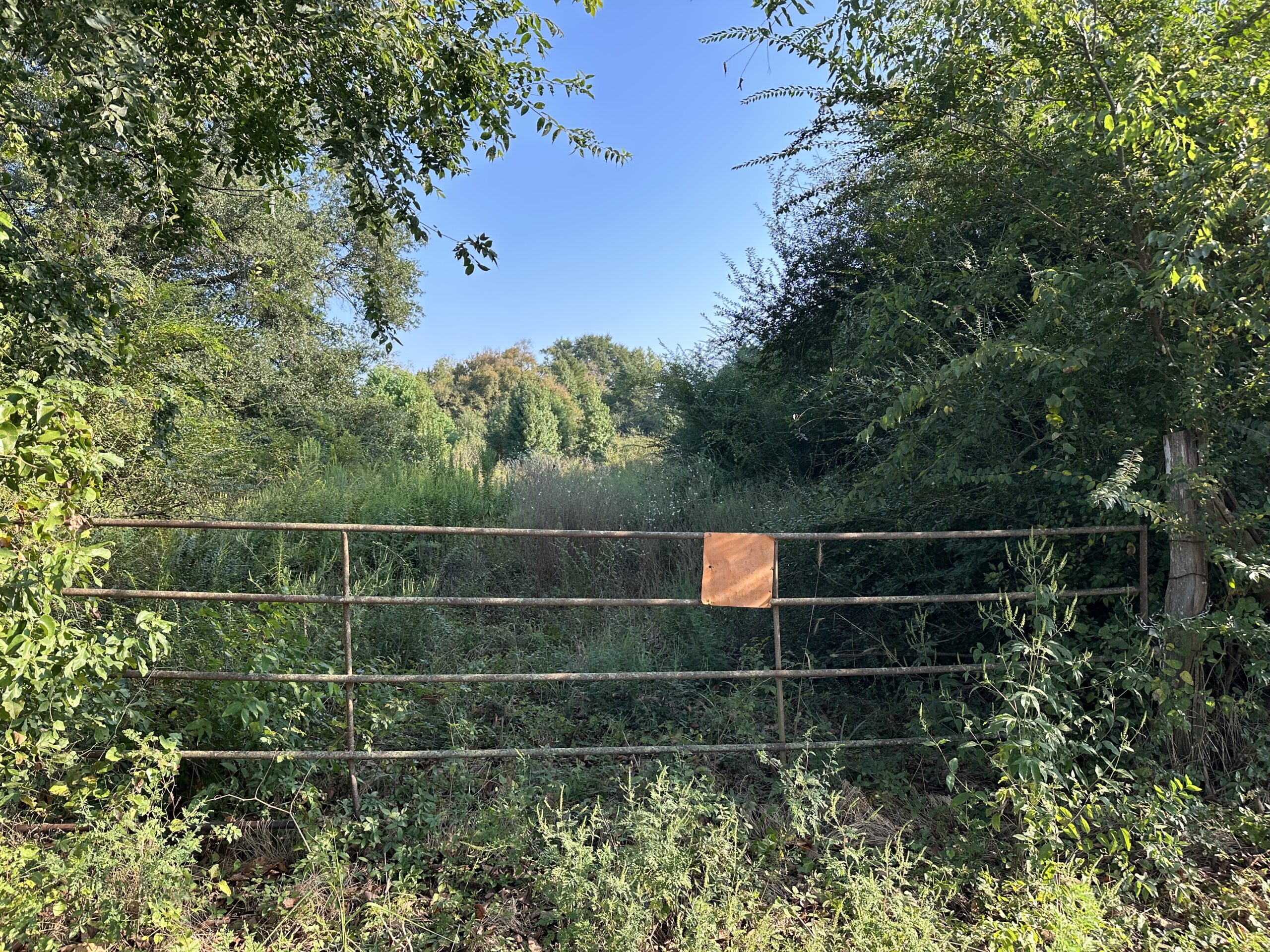 East Texas Hunting/Recreational/Timber Tract For Sale