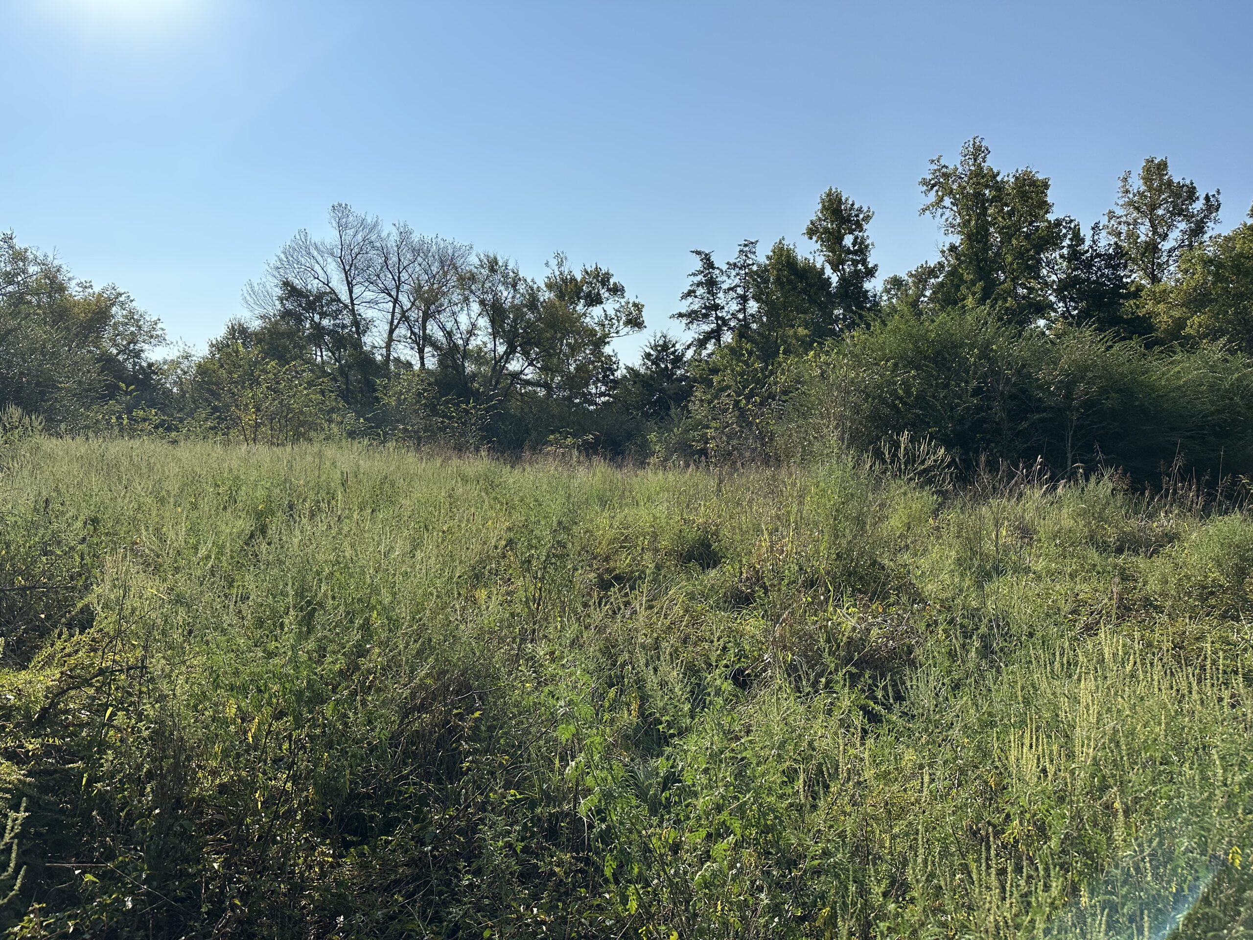 East Texas Hunting/Recreational/Timber Tract For Sale